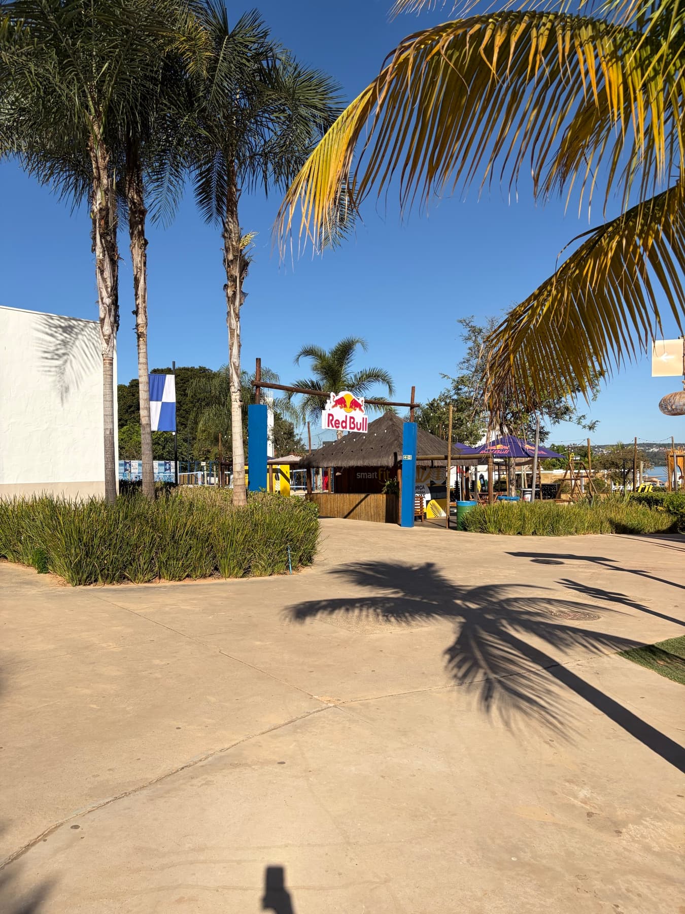 Entrada do Na Praia entre palmeiras, com o quiosque ao fundo